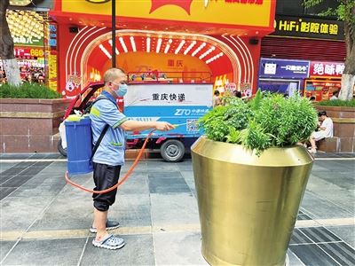 密防蚊“安全网” 精准消杀除隐患 我区开展蚊媒传染病防控行动筑牢群众健康防线