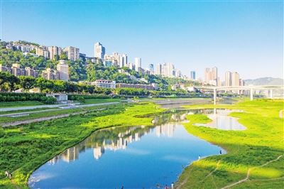 逐绿而兴 绿色发展添彩生态新底色