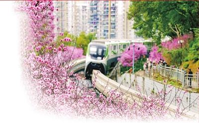 从春天出发 渝中全力冲刺“开门红”