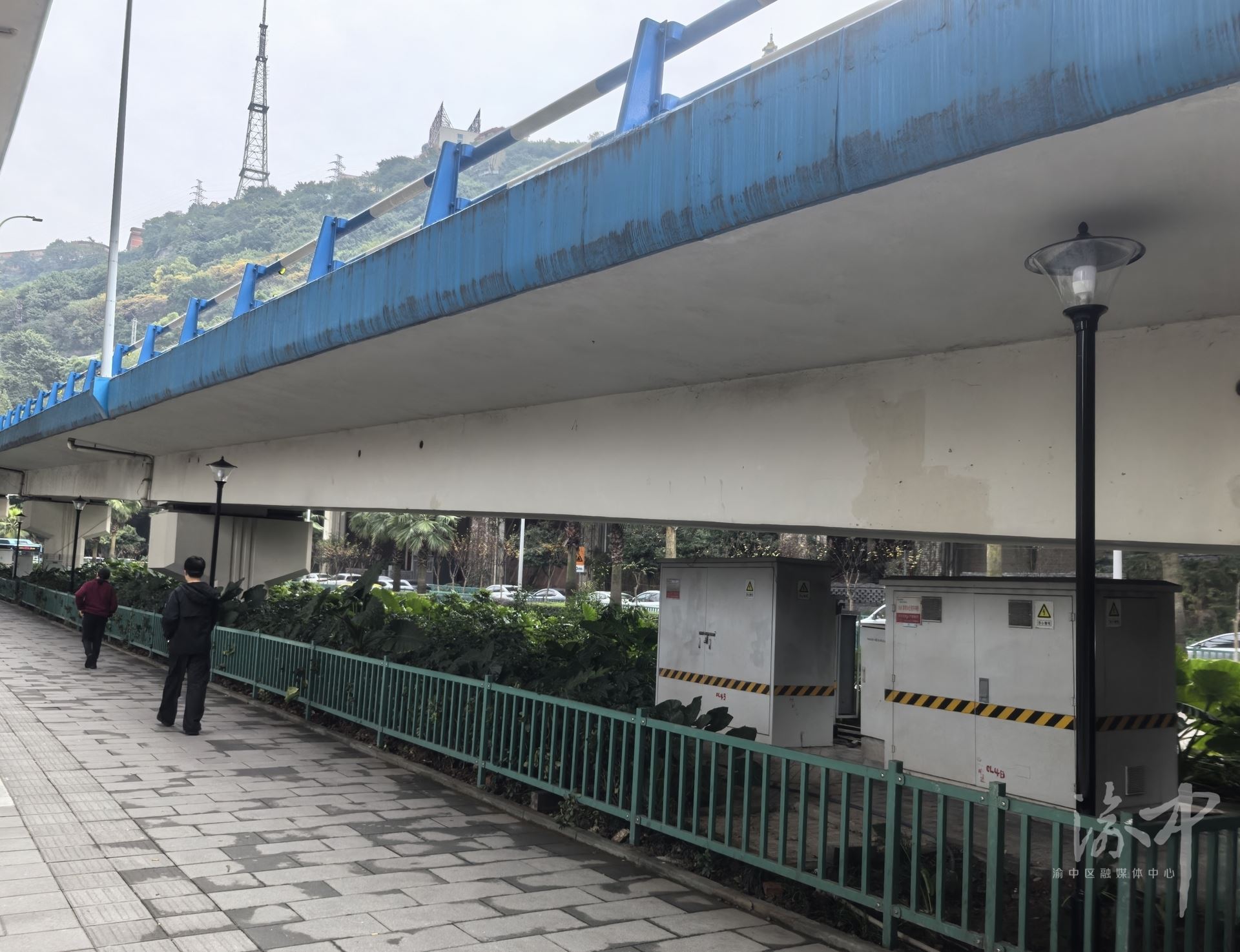 从“随口说”到“马上办”嘉博路社区19盏路灯照亮民生路