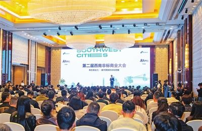 非标聚力 “渝”见新机 第二届西南非标商业大会解锁商业新机遇